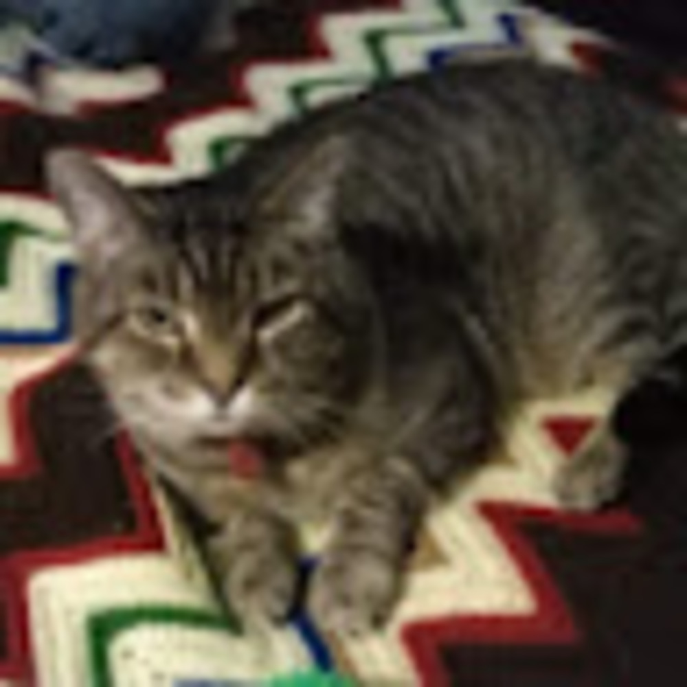 Meet your Posher, Stephen